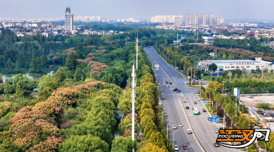 荆州：“绿墨”润古城   “智笔”绘诗画