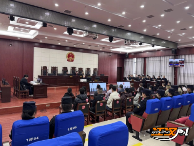 涉案22人金额数百万元，公安法院审理一起以公司化模式非法获取、出售公民个人信息案件