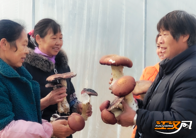 荆州：双腿裹泥，换得菌更香藕更甜