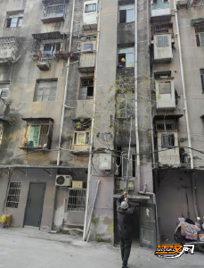 【我为群众办实事】  墙体“长树”埋隐患：沙市城管高效除险护民安