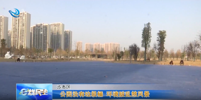 公园没有垃圾桶 环境脏乱煞风景