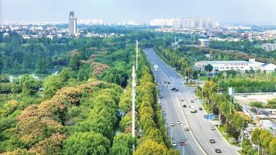 活化、美学、智慧  荆州城市微景观“点亮”市民美好生活