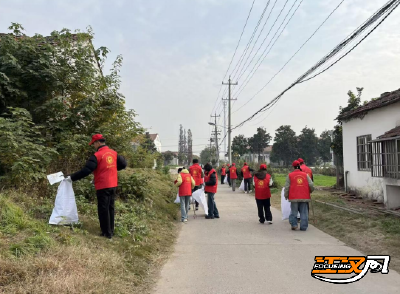 国际志愿者日丨江陵河道分局青年志愿者开展“清渠洁岸・清洁家园”活动 