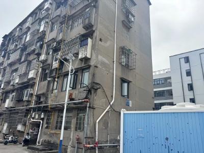 《点“荆”之问》，实干作答！（一）