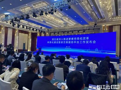 集中亮相！湖北将打造“七个市场”