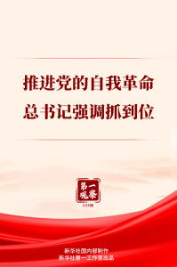 第一观察｜推进党的自我革命，总书记强调抓到位