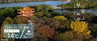 早安·荆州 | 涉及782辆车！荆州发布公告