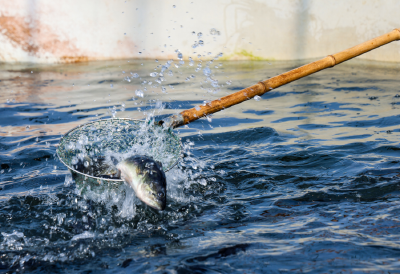 【媒眼看荆州】11月28日—12月5日 央省媒体聚焦荆州：故宫同款红墙、“举牌爷爷”