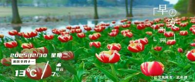 早安·荆州 |即将亮相，荆州四大片区场景速览来袭~