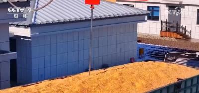 全国秋粮收购已超2亿吨 