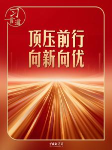 习言道｜开局之年，有底气