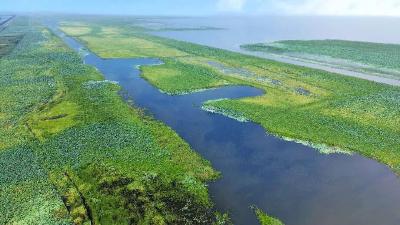 基层动态 | 洪湖人大：促推洪湖水再现浪打浪