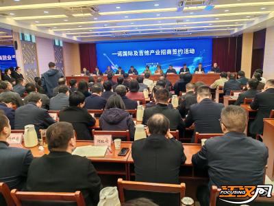 一诺国际项目落户！松滋吉他产业再添新动能