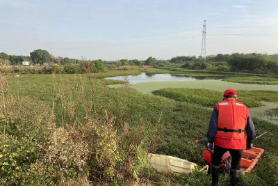 荆州：水清岸洁！家门口的河变美了