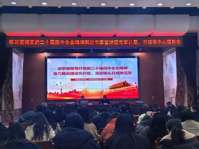 学习贯彻党的二十届四中全会精神荆州市委宣讲团市审计局、市接待中心报告会