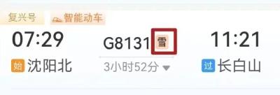 “雪、宠、兑、静、铺” 12306购票页面5种标识代表啥？