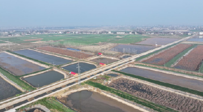 石首市西江波渡村：226亩鱼池升级改造变身“聚宝盆”