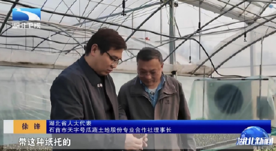 省台聚焦石首代表徐锋：从“试验田”到“推广田” 带领农户走向规模化