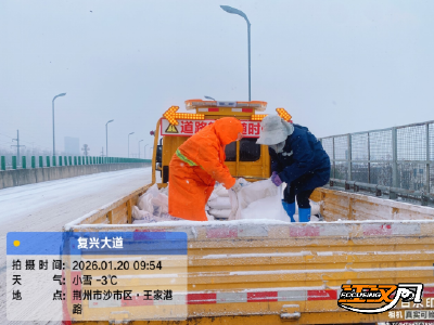 迎战低温雨雪天气 | 荆州市住房和城市更新局连夜鏖战筑牢防线