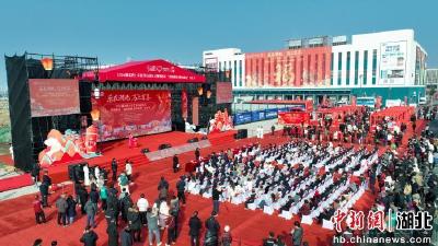 中新网推出《2026湖北网上年货节在荆州启幕》