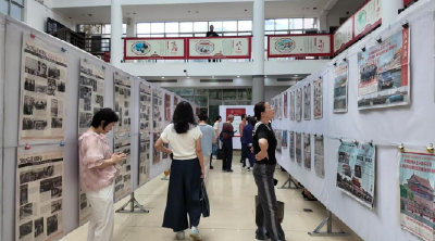 石首市收藏协会：让藏品“活”起来  助文化“兴”起来