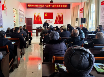 松滋：“五老”技术送下乡 瓜农喜提“致富经”