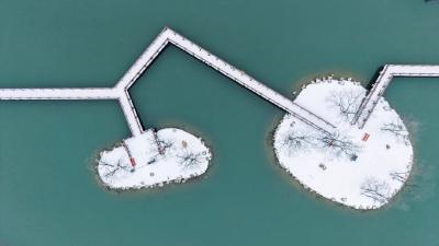 荆州松滋：听雪落枝头，看松滋成画