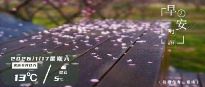 早安·荆州 | 即日起，荆州启动网约车专项整治