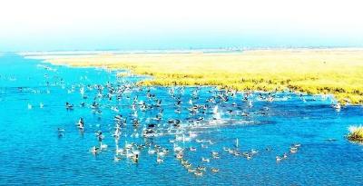 达到国考标准！再现“洪湖水浪打浪”美景~