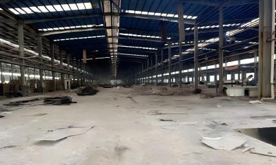 长了8年杂草的478亩土地 长出一条绿色循环产业链