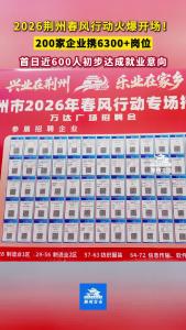 2026荆州春风行动火爆开场！200家企业携6300+岗位，首日近600人初步达成就业意向