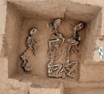 3000多年前商代的“野生动物园”，被发现了！