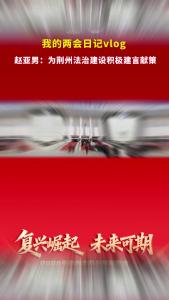 我的两会日记vlog——荆州市人大代表赵亚男：为荆州法治建设积极建言献策