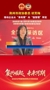 荆州市政协委员 祁芳梅：推动企业从“拿政策”向“强管理”转变