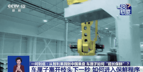 运输耗时近一个月，进口车厘子如何保鲜？