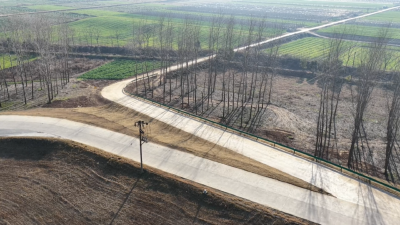 一条路，照亮江陵乡村振兴“最后一公里”