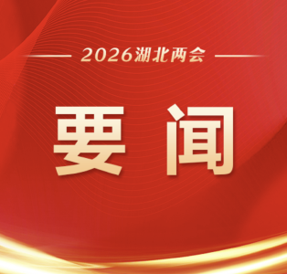 直通省两会 | 荆州参加省两会的人大代表热议高质量发展