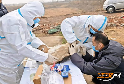 湖北荆州：洪湖保护区为27只越冬候鸟办理“身份证”