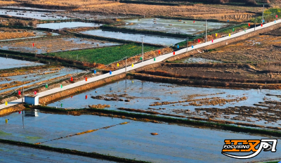  “日行一善”点亮家乡路  乡贤反哺共圆振兴梦