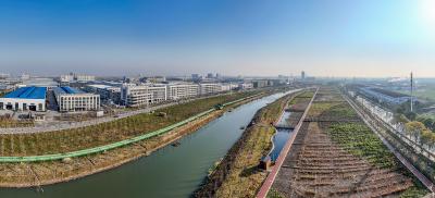 日净化3万立方米，城市闲置地变身水生态公园