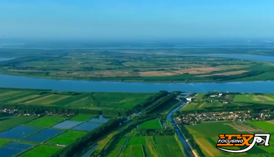 长江江豚数量实现恢复性增长  荆州石首江豚每年稳步增长10%