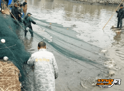 松滋市八宝镇：同心共管“幸福渠” 共享鱼塘喜丰收