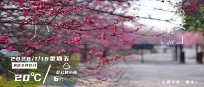 早安·荆州 | 荆州方特二期有新进展