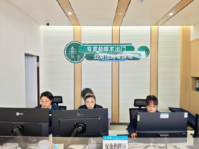 国网洪湖市公司：多措并举推动网格服务提质升级