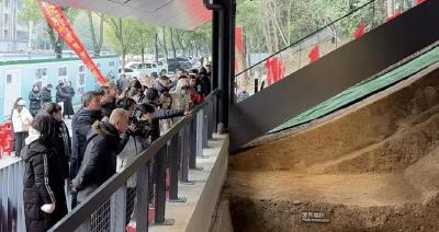 今起，免费参观！