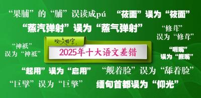 2025年十大语文差错公布