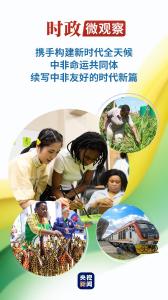 时政微观察丨续写中非友好的时代新篇