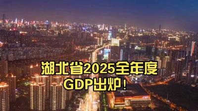 湖北2025年GDP公布！