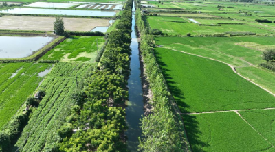 洪湖市龙口镇坚持“三个导向” 擦亮生态底色