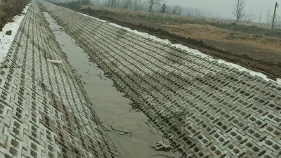 湖北荆州：“薄田”变“丰园” 高标准农田建设助力“菜篮子”提质增效